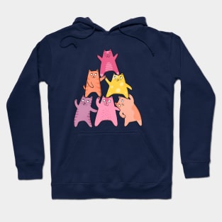 Cat Pyramid Hoodie